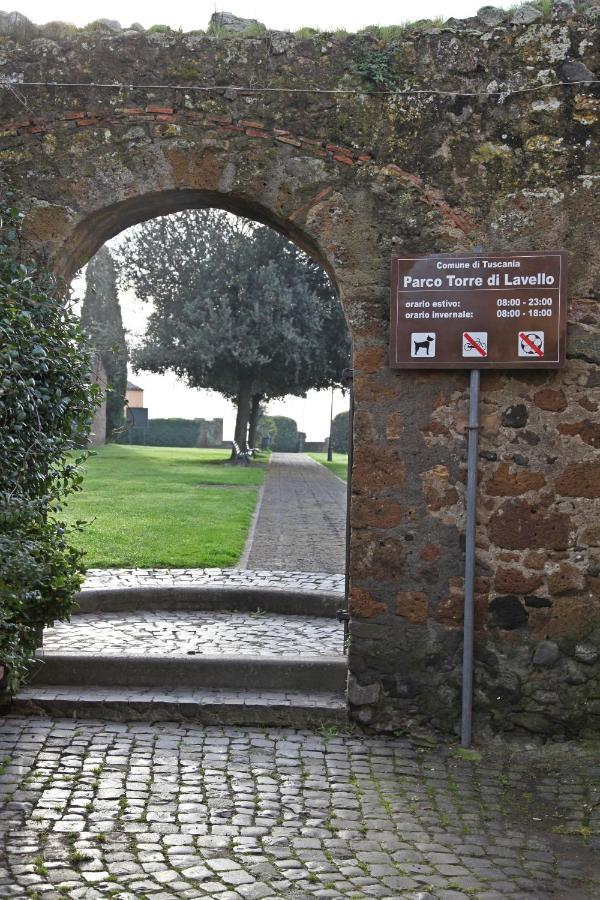 Nives Holiday home Tuscania